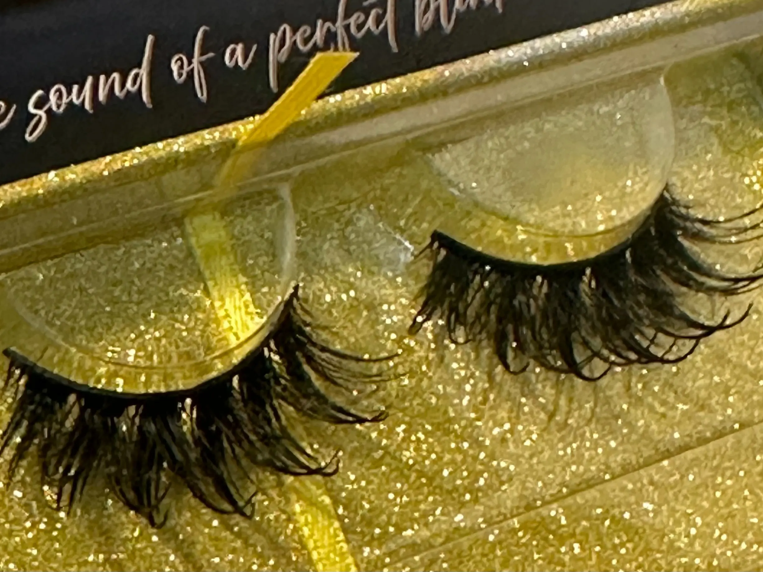 DRENCHED lash strip