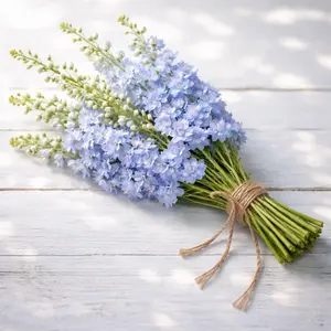 Sky Blue Delphinium Seeds, Magic Fountains Sky Blue - 50 Perennial Flower Seeds for Cut Flowers, Wedding Bouquets, Butterfly and Bee Garden