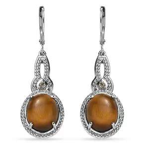 Tigers Eye and  Citrine 10.00 ctw Earrings in Stainless Steel