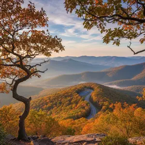 Shenandoah National Park Canvas 8x10 in