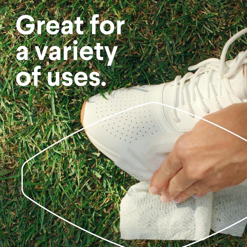 Clorox Disinfecting Wipes Value Pack, Household Essentials, 75 Count, Pack of 3 (Package May Vary) Clorox Disinfecting Wipes