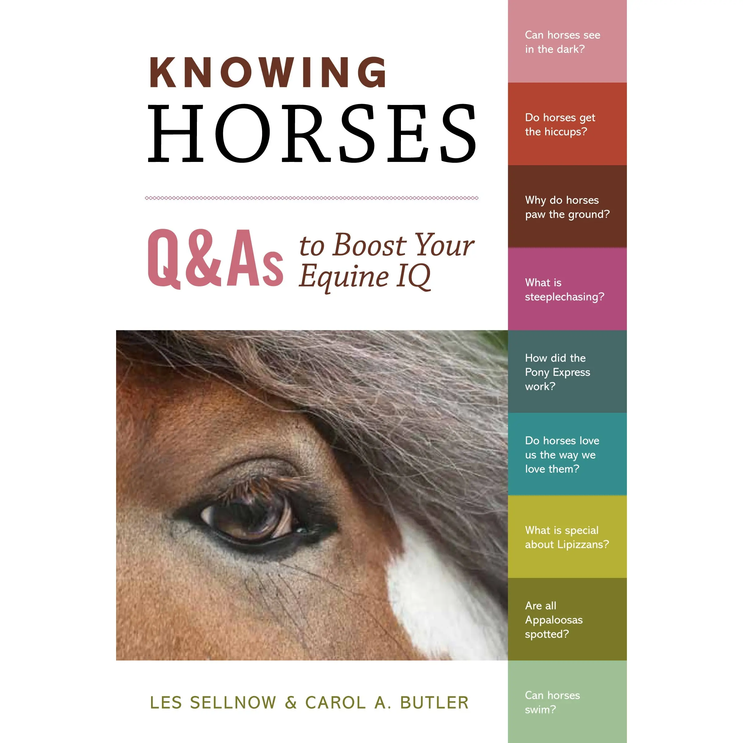 Knowing Horses