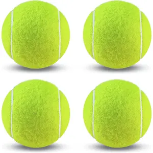 4 Pack Training Tennis Balls, Practice Balls for Beginners & Playing Balls for Dogs