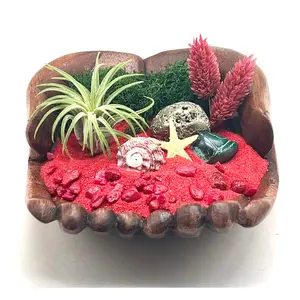 Beach Air Plant Holder with Natural Pyrite Crystal Sphere, Malachite Stone & More – Unique Gift Idea