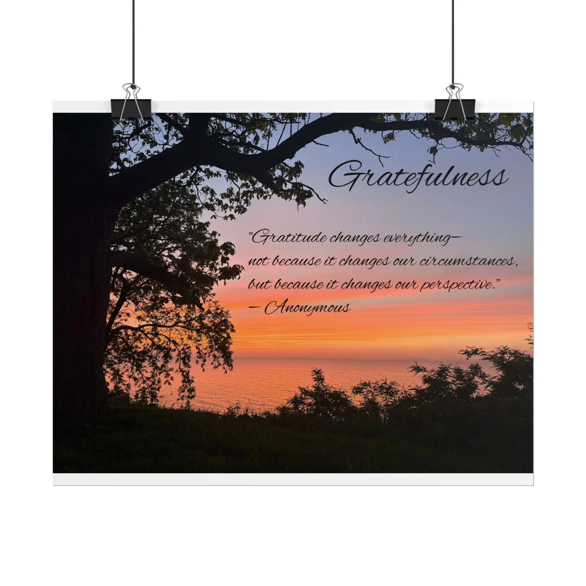 Rolled Posters