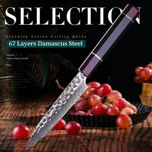 FINDKING 5 Inch Kitchen Utility Knife with ABS sheath, Multi-Purpose Japanese Paring Knife, Damascus Steel Blade, Resin Octagonal Handle, Small, for Fruits Vegetables (Eternity Series)