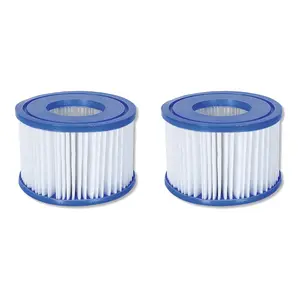 Coleman SaluSpa 90352E Pool Filter Pump Type VI Replacement Cartridge (2 Pack)