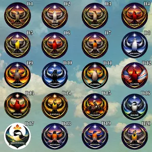 USA State Anti ICE Activist Die-cut Stickers, Resistance Symbol Community Solidarity Vinyl, State in US Political Sticker