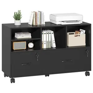 2 Drawer File Cabinet with Lock, Rolling File Cabinet for Home Office Fits Files Letter/Legal/F4/A4, Filing Cabinet 2 Drawer with Adjustable Shelf & 2 Lockable Wheels