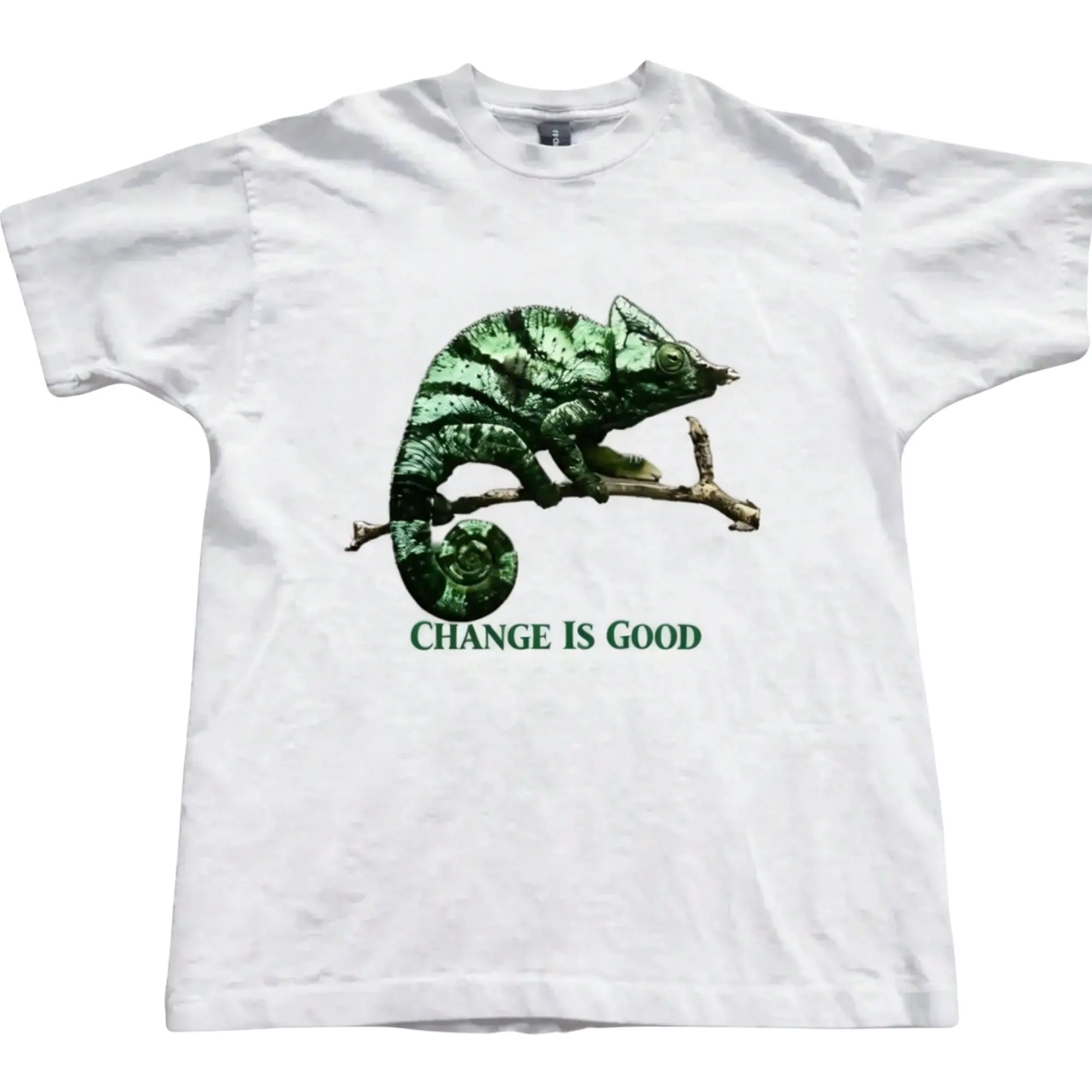 Aesthetic Green Chameleon Change Is Good Slogan Graphic T-Shirt, Distressed Vintage Reptile Lizard Illustration Art Print, Unisex Streetwear Tee For Reptile Lovers, Cottagecore Indie Outfit