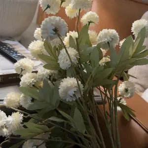 review image 7