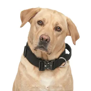 Black Comfort Padded Pet Collar with Handle, Durable Everyday Walking Gear for Large Breeds Golden Retriever Lab, Secure Metal Buckle No-Chafe Equipment for Active Family Dogs