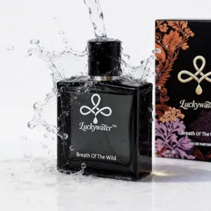 Men's Eau de Parfum 50ml – Aromatic Fougere with Bergamot, Elemi, Citrus, Geranium, Lavender & Vetiver – Long Lasting – Perfect for Spring Daily, Office, Romantic Date, Summer Party – Birthday Gift for Husband, Gift for Boyfriend, Father's Day Gift