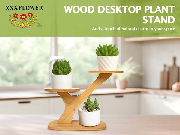 3-Tier Bamboo Succulent Planter Set - Aesthetic Desk Plant Stand Gift with 3 Ceramic Pots