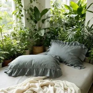 Pack of 2/4 Dark Gray Ruffle Pillow Shams, Standard 20"x30" French Country Vintage Pillow Cases, Soft Brushed Microfiber Frilly Pillow Covers with Envelope Closure, Wrinkle Resistant Farmhouse Decorative Pillowcases for Bedroom