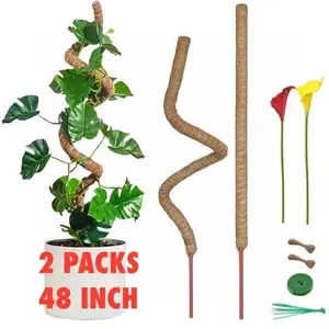 Bendable Plant Support Poles 48 Inch 2 Pack Climbing Plant Stakes