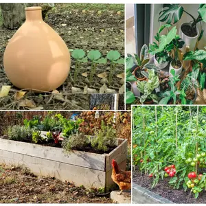 Ollas terracotta Medium Size