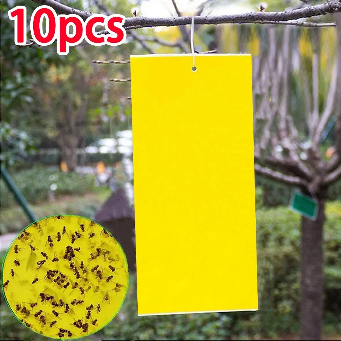 50 Pack Sticky Pest Traps, 20x10 Cm Glue Boards with Strips, Dual-Sided Insect Trap for Farm Garden Vegetable Fruit Patio Indoor Outdoor Use, Fruit Fly Trap, Sticky Bug Traps, Sticky Traps for Bugs