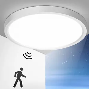 2/4PCS LED Ceiling Light, Modern Mood Lighting, Motion Sensor, 85-265v, White Light 24w, Rechargeable Desk Lamp, Wall Lighting Fixture, Pole Mount