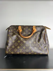 Pre-owned Canvas Shoulder Bags Louis Vuitton Monogram Speedy 30 handbag