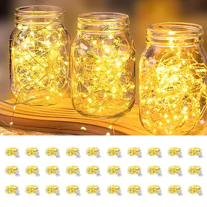 LED Fairy Lights String, Super Bright Led 10ft  Each individual LED strip is two meters long, with a total of 30 strips Leds Warm /cold /rainbow Colors, USB Powered Remote Control Firefly Light for Christmas Wedding Party