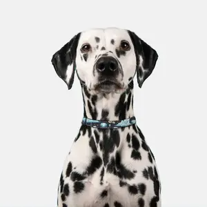 Diamond Clouds /pet collar large