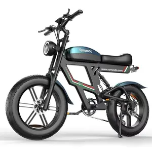 Ameritano Ebike T20, Mountain dirt electric hybrid bike