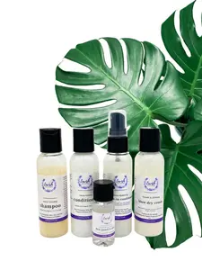 Straighten Me - Silk Press Kit Mini