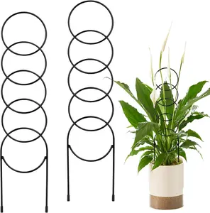 Indoor Plant Trellis, 2 Pack, Small Plant Trellis for Potted Plants, 17.5 Inch Metal Trellis for Climbing Plants, Indoor Support Small Plant Trellis
