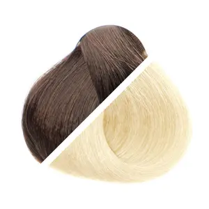 8/202 Dark Brown / Light Blonde Ombré Invisible Tape-In