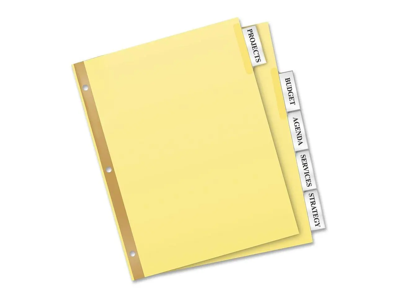 Avery 11113 Avery Worksaver Insertable Dividers Value Pack Print-on - 5 Tab(s)/Set, 24Sets / Box - Clear, Buff Tab