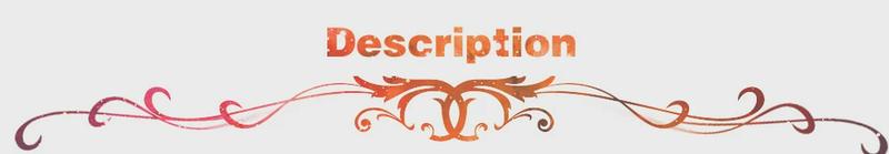 Dandkey 2 3 Button Flip Car Key Case Shell Housing For For Volkswagen for Vw Jetta Golf Polo Passat Beetle for Skoda for Seat B5