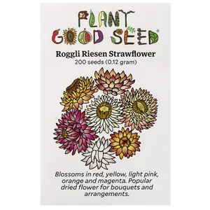 Roggli Riesen Strawflower Seeds for Planting: Home Planting, Mixed Color Wildflower, Certified Organic Seed Varieties - 200 Seed Packet / Bulk Pack