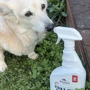 Rocco & Roxie Extreme Stain & Odor Eliminator | Clean Carpets, Floors and Sofas