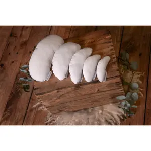 Set of 5 Positioning Pillows (filled)