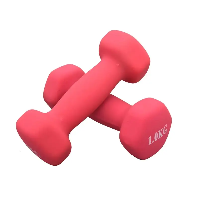 Dumbbell, 1kg & 2kg Sand-textured Non-slip Dumbbell, Home Yoga and Fitness Shaping Dumbbell, Strength Training Equipment, Fitness Equipment for Home Gym, Home Workout Gear