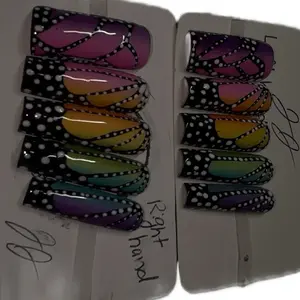 JadedJewelsNails Colorful Butterfly Ombrè Press On Nails