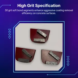 Lavina High Performance 30 Grit Soft Bond Diamond Tooling Segments for Aggressive Coating Removal & Concrete Profiling - 9 Segments Included