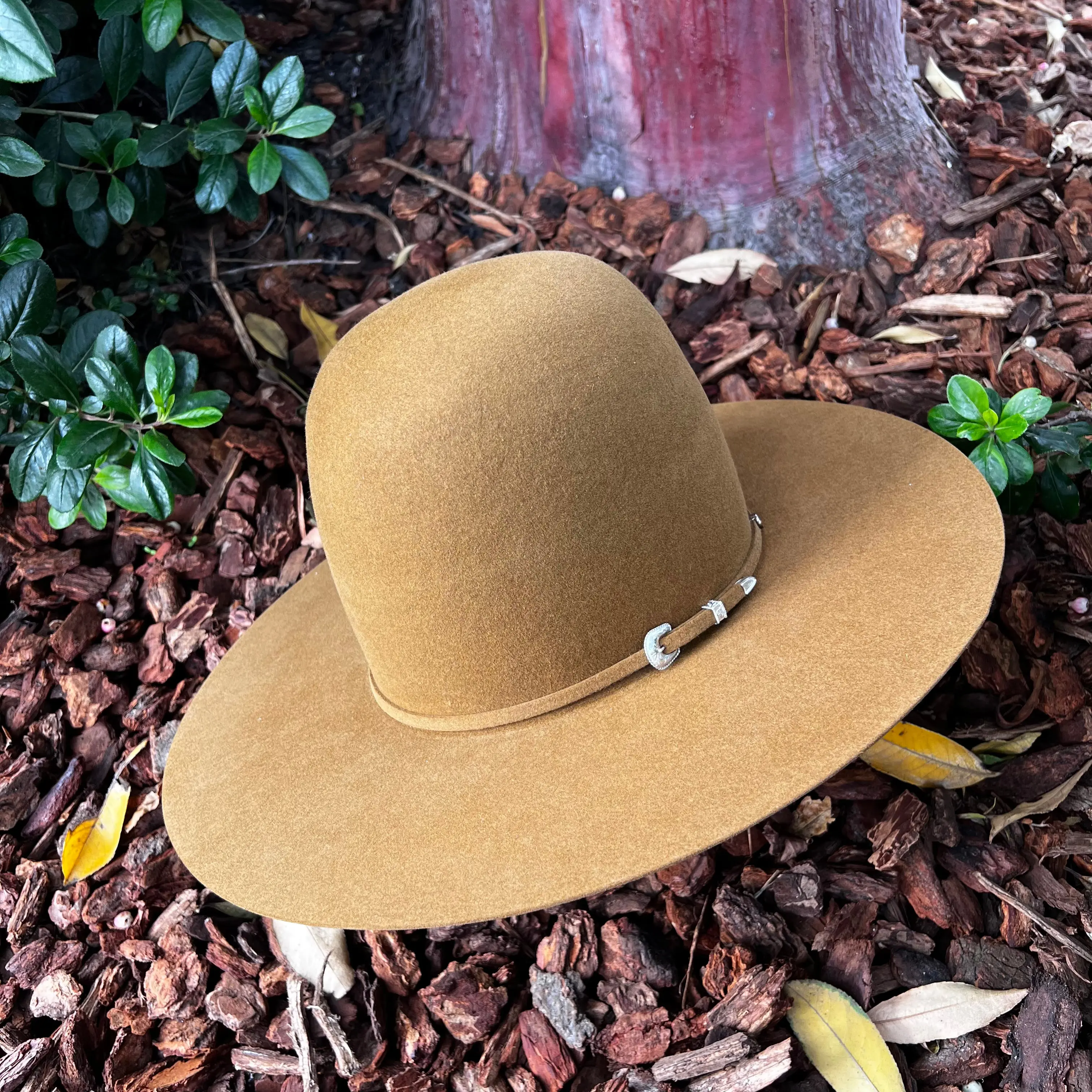 Tacchino 10X Tall Crown Mustard Felt