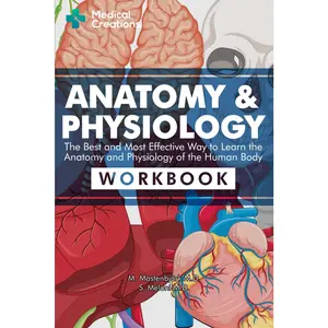 Anatomy & Physiology:  and  Effective Way to Learn the Anatomy and Physiology of the Human : Workbook - Paperback