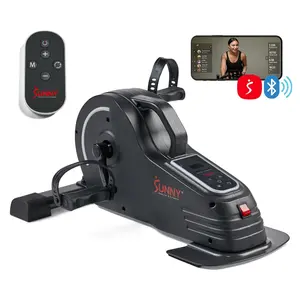 Sunny 2-in-1 Motorized Mini Bike B0960 SMART