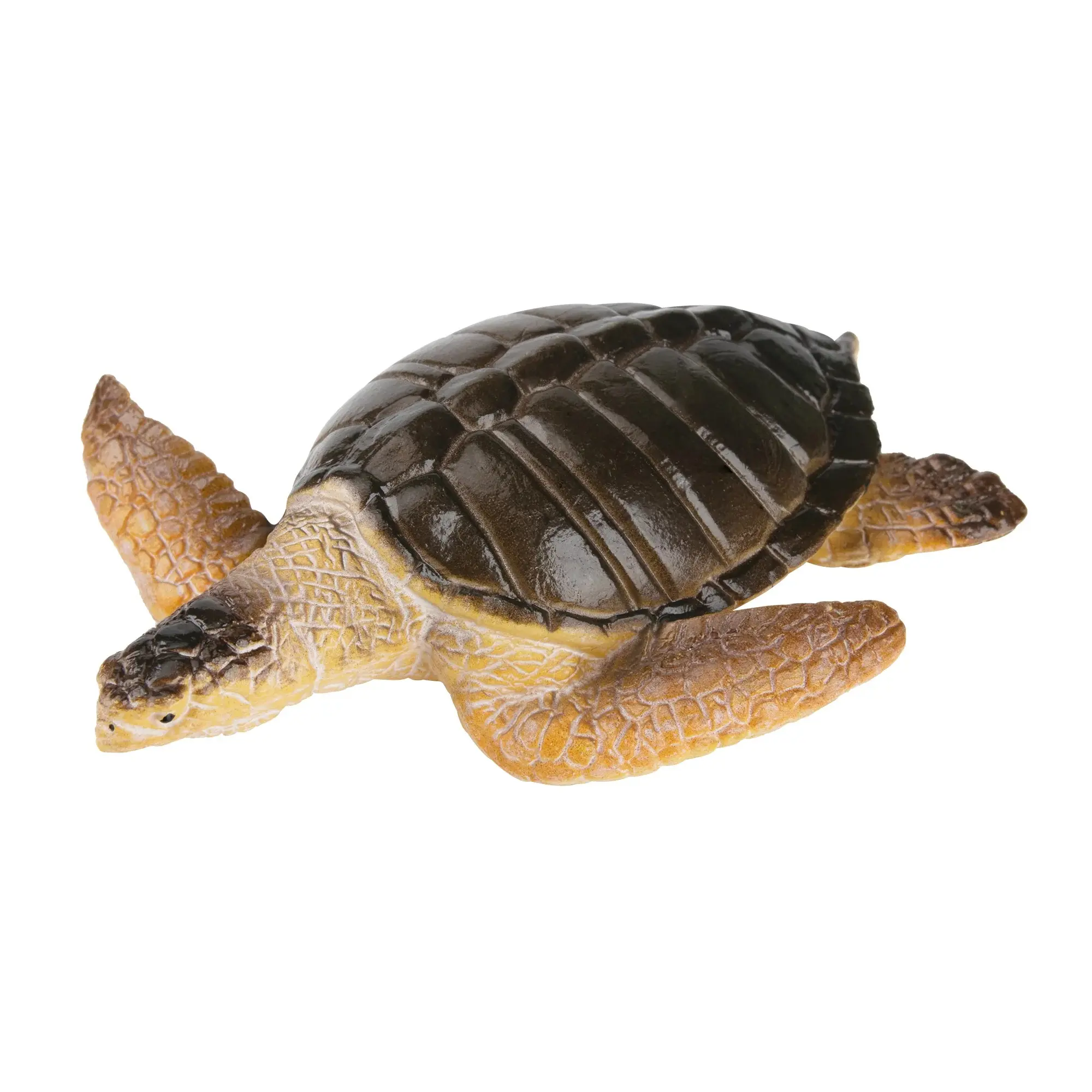 Toymany Hand-Painted Olive Ridley Sea Turtle Figurine – Realistic Marine Animal Model, Perfect for Early Education, Montessori Sensory Play, Cake & Party Decorations, Desk & Home Décor, Thoughtful Gifts, and Collectible Figurine