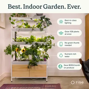 The Rise Garden 3 - Grow Clean Veggies at Home with Hydroponic Efficiency