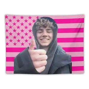 Walker Celebrity American Flag Tapestry, Pink Scobell American Wall Polyester Banner in Bedroom