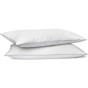 Flat Soft Thin Pillows  Size Set of 2 Pack Bed Pillow with Down Alternative Fill for Side   Sleepers, 20x36 Inches, White