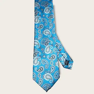 Light Blue Paisley Tie