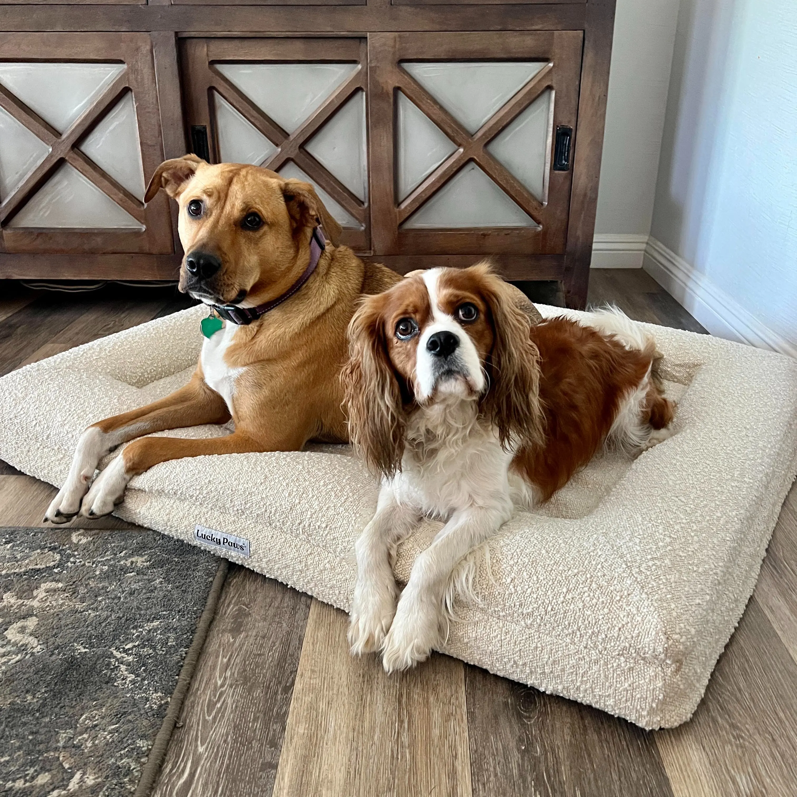 Lucky Paws Bouclé Orthopedic Memory Foam Bed