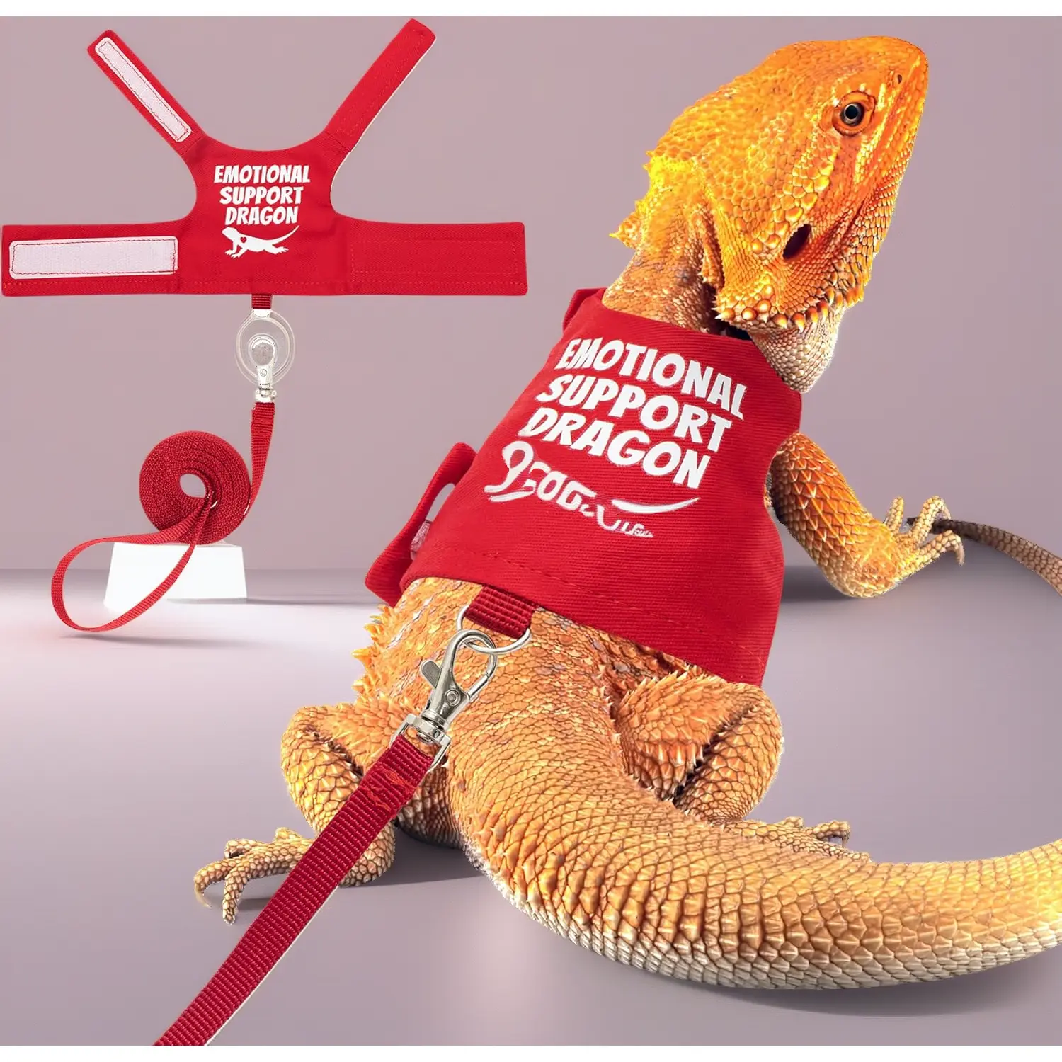 Escape-Proof Polyester Blend Bearded Dragon Harness Set - Adjustable Strap Collar with 5ft Lead for Safe Outdoor Walking of Small Reptiles, Lizards