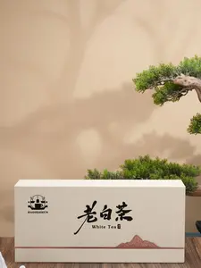 Premium Fuding Shou Mei White Tea - Ancient Mountain Trees, 5g x 25 Bags Gift Box | Antioxidant Rich, Energy Boosting, Natural Drink with Golden Leaves