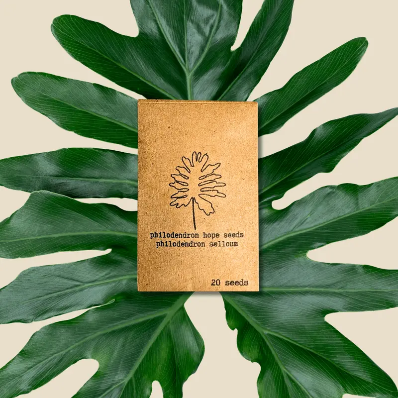 flower seed Bulk Heirloom Flower Seed Mix